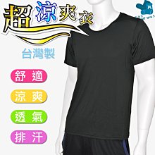 超涼感台灣精製3D透氣枕頭套/2色 歷史價格詳細信息