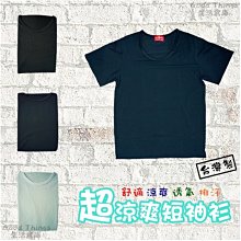 台灣製 黑珍珠 超濃縮果香潤滑雨刷精 250ML 防霧 除油膜 玻璃清潔 濃縮 雨刷精 擋風玻璃清潔 洗車用品 歷史價格詳細信息