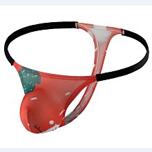 【私房秘事】男士性感丁字褲 舒適透氣棉內褲 時尚潮男丁字褲 彈力貼身內褲 歷史價格詳細信息