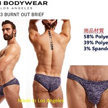 新品 減價中》N2N_FF31_Fire Island X Bikini，打造出誘人性感的火島 X 丁字褲！ 歷史價格詳細信息