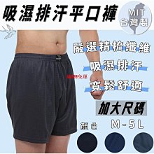 GV大白哥 休閒版型 短款連帽上衣簡約休閒長褲收腰拉鍊運動套裝女 歷史價格詳細信息