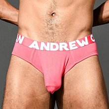 Andrew Christian Team Bikini 低腰三角泳褲 深藍色S號 腰圍28-30吋 歷史價格詳細信息