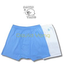 **大衛羊的衣店園**MIT【男童】名秀8802印花男孩三角內褲 兩件一組 歷史價格詳細信息
