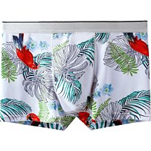 男士內褲平角褲夏季冰絲薄內衣四角褲性感中腰內褲 歷史價格詳細信息