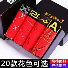 男童本命年紅內褲青少年男2024龍本歷年兒童短褲紅色褲頭學生平角 歷史價格詳細信息