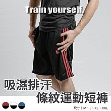 滿299起發✨國棉男生三角褲✨（三色可選）素色棉質開洞男生內褲满599免運 歷史價格詳細信息