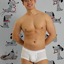 [性感裸比] 日本品牌UNDERSTAND低腰三角白色450元(全館滿千現折100元)1013-100 歷史價格詳細信息