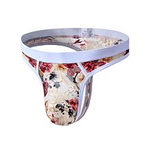 丁字褲男 性感内男 情趣内衣男廠家直銷新款低腰男士內褲丁字褲 性感蕾絲內三角短褲透明底褲 價格比較,價格查詢,歷史價格詳細信息