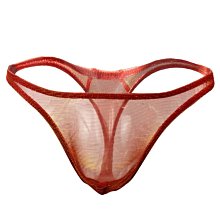 丁字褲男 性感内男 情趣内衣男男式內褲無腰款男士丁字褲T褲 0006 歷史價格詳細信息