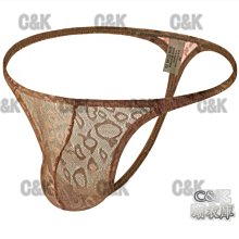 潮衣庫『男士丁字褲性感時尚象鼻大囊袋低腰薄錦綸絲滑透氣彈力男丁字T褲』內褲三角褲丁字褲平角褲 歷史價格詳細信息