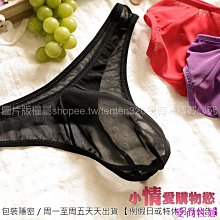 猛男辣貨情趣 天使降臨．輕透網紗蕾絲睡衣 歷史價格詳細信息