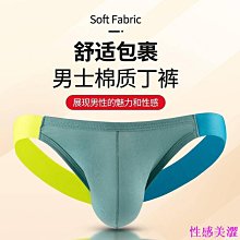 男士丁字褲 舒適透氣棉內褲 低腰性感內褲 彈力貼身丁字褲 後空內褲（滿599元免運） 歷史價格詳細信息