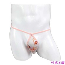男士透視丁字褲條紋網眼丁字褲男性感內衣 歷史價格詳細信息