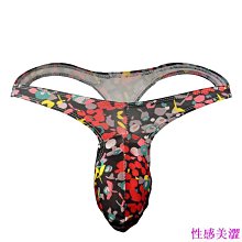 男士低腰丁字褲 刺繡日式相撲褲 綁繩六尺褲 性感透氣內褲 棉內褲 舒適 性感內褲 情趣丁字褲-愛尚性感 歷史價格詳細信息