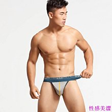 男士丁字褲 舒適透氣棉內褲 低腰性感內褲 彈力貼身丁字褲 後空內褲（滿599元免運） 歷史價格詳細信息