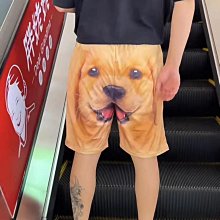 金毛沙灘菠蘿襯衫狗休閑大型犬服飾寵物狗狗貓咪中小型犬法斗衣服 歷史價格詳細信息