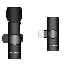 一拖二領夾有線麥克風 電腦麥克風 直播麥克風 迷你麥克風 手機錄音 手機收音器 麥克風 領夾式麥克風 一對二領夾式麥克風 歷史價格詳細信息