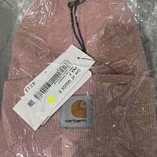 全新 Carhartt WIP 藍色 暈染 短T 1元起標 歷史價格詳細信息