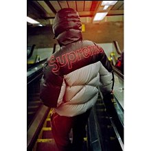 Supreme The North Face Mountain Parka 歷史價格詳細信息