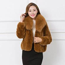 2023兔年短袖T恤中國風本命年棉衣服新年男女學生休閑潮流情侶裝#皇運 歷史價格詳細信息