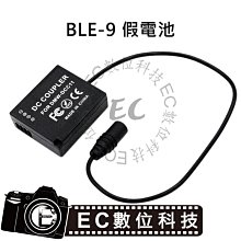 【EC數位】DMW-BLJ31 S1 S1R S1H S1M BLJ31 數位相機 高容量電池 歷史價格詳細信息