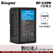 【數位達人】KingMa BP-2CH + 2顆BP-190WS電池 雙電池座充組 / V掛 V型 雙充電器 手提直立型 歷史價格詳細信息