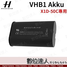 優惠加購【預購】百搭時尚糖果色細腰帶皮帶【Belt-876】 歷史價格詳細信息