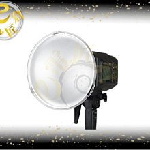『e電匠倉』Godox 神牛 AD-R13 AD300Pro 專用標準 反光罩 反射罩  AD300Pro-R13 歷史價格詳細信息