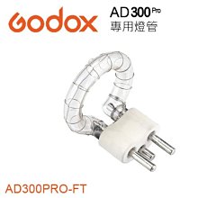 Godox 神牛 AD300Pro 外拍燈 正成公司貨 歷史價格詳細信息