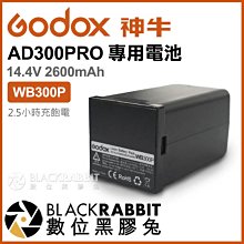 數位黑膠兔【 神牛 GODOX SB-US-6090 摺傘式 柔光罩 60x90 cm 】保榮 折疊 Bowens 網格 歷史價格詳細信息