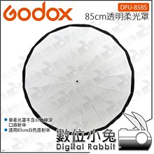 Godox 神牛 傘式 快開 柔光罩用反射碟片 公司貨 歷史價格詳細信息
