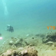 TOOKE 潛水扎帶 彩色尼龍扎帶 調節器 二級頭咬嘴適用 扎線帶多色 歷史價格詳細信息