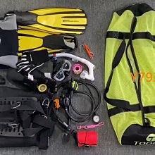 TOOKE 潛水扎帶 彩色尼龍扎帶 調節器 二級頭咬嘴適用 扎線帶多色 歷史價格詳細信息