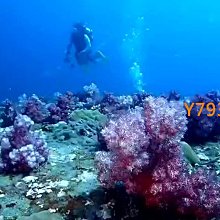 潛水級溯溪背包登山徒步戶外防水包漂流游泳TPU耐磨路亞釣魚包車迷辰 歷史價格詳細信息