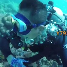 【V.DIVE威帶夫】潛水,浮潛專業呼吸管(SN-03) 歷史價格詳細信息