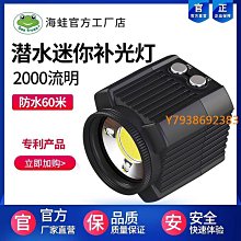 GoPro補光燈潛水專用補光燈LED補光燈拍照補光運動相機補光燈水下 歷史價格詳細信息