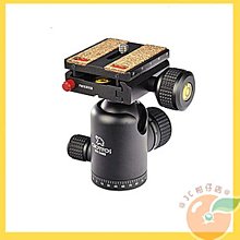 連鎖店公仔.......每支10圓~~有需要請下標 歷史價格詳細信息