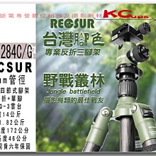 Recsur 清潔組合六之型(大葫蘆-L+LP-1+B吹塵槍+噴罐) 歷史價格詳細信息