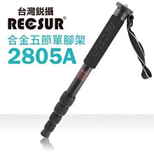 Recsur 清潔組合六之型(大葫蘆-L+LP-1+B吹塵槍+噴罐) 歷史價格詳細信息