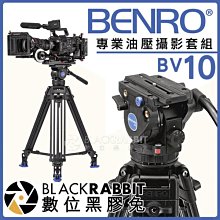 【BENRO百諾】專業球型雲台 BH0 (黑色) 歷史價格詳細信息