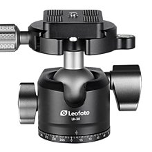 徠圖 Leofoto Strap-32LS 【快速鎖緊 腳架背帶】 基座含有1/4”螺孔腳架 公司貨 歷史價格詳細信息