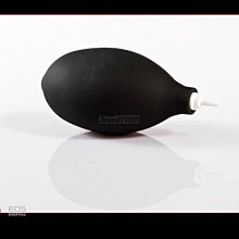 【質感強力吸水】北歐地毯 浴室地墊 地毯地墊 防滑地墊 客廳地毯 床邊地毯 短毛地毯 小地毯 北歐地墊 防水地毯 小地墊 歷史價格詳細信息