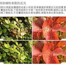 【適用 Nikon Z6･Z7･Z5･Z6II･Z7II･Z9】GGS 0.3mm 超薄相機螢幕保護玻璃貼 N5-SP 歷史價格詳細信息