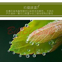 【適用 Nikon Z6･Z7･Z5･Z6II･Z7II･Z9】GGS 0.3mm 超薄相機螢幕保護玻璃貼 N5-SP 歷史價格詳細信息