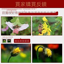 【適用 Nikon Z6･Z7･Z5･Z6II･Z7II･Z9】GGS 0.3mm 超薄相機螢幕保護玻璃貼 N5-SP 歷史價格詳細信息