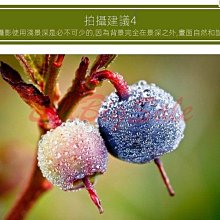 【適用 Nikon Z6･Z7･Z5･Z6II･Z7II･Z9】GGS 0.3mm 超薄相機螢幕保護玻璃貼 N5-SP 歷史價格詳細信息