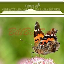 【適用 Nikon Z6･Z7･Z5･Z6II･Z7II･Z9】GGS 0.3mm 超薄相機螢幕保護玻璃貼 N5-SP 歷史價格詳細信息