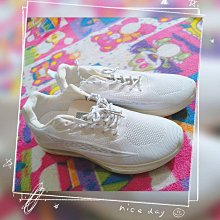 《紅樹林潤娥》小饅頭遮瑕刷(小紅書熱薦) 歷史價格詳細信息