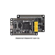 Spartan-6 高速開發 Xilinx,XC6SLX45T  4Gbit DDR3  PCIe  SATA 歷史價格詳細信息