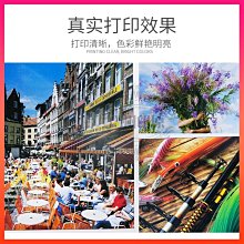 現貨熱銷-樂優派貓包外出便攜貓背包雙肩大容量透氣舒適狗狗外出包寵物用品 歷史價格詳細信息